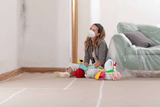Reliable Commercial Mold Remediation contractor in Stillwater, MN by WQB Mold Removal